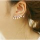 Women crystal earrings, cubic zirconia, titanium steel luxury